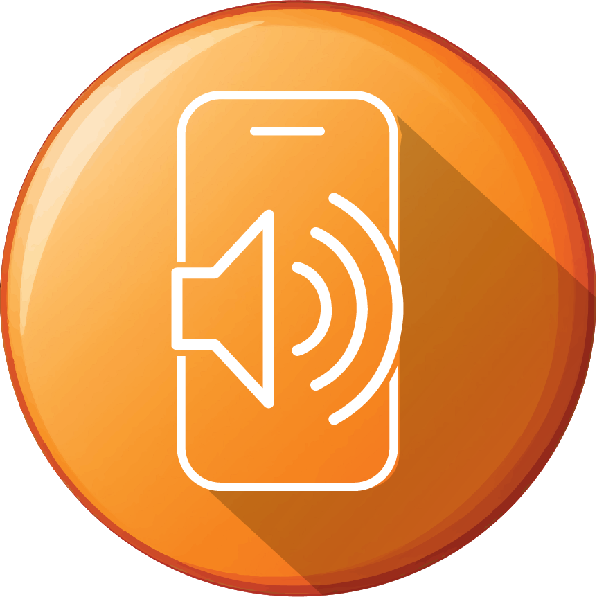 TCL 501 Speaker Repair